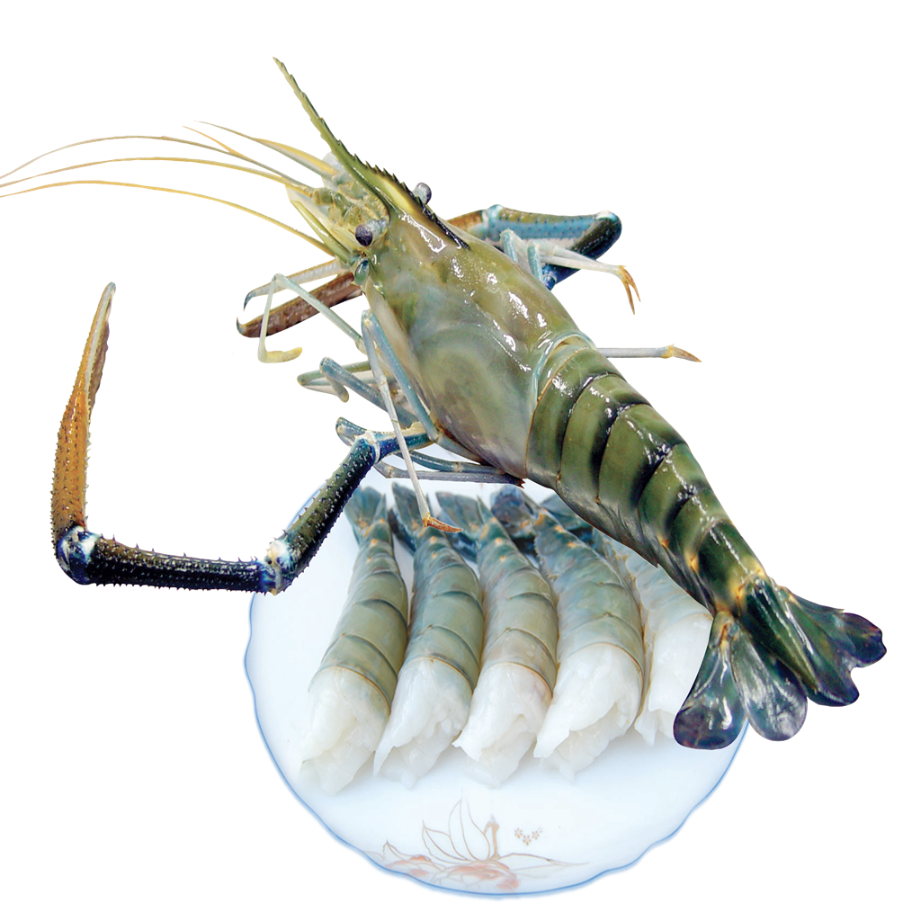Fresh Water Shrimps with headless shell on 1