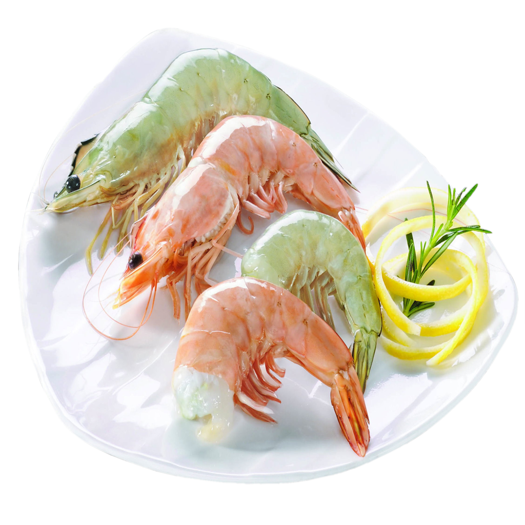 White Brown Chaka Shrimps 1