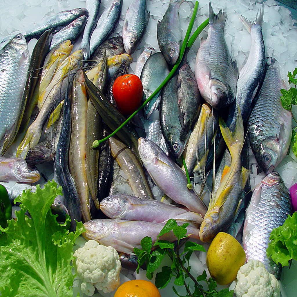 White Fish